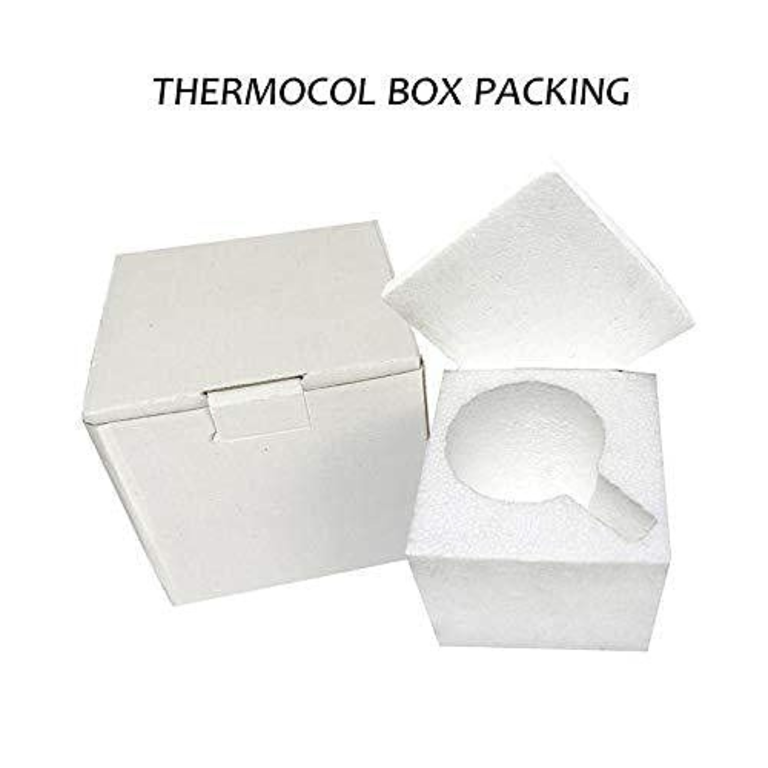 Thermocol Box 