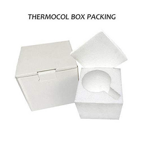 Thermocol Box 